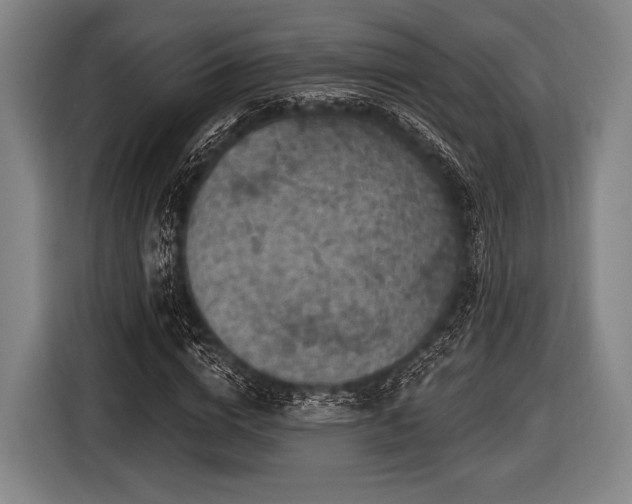 X0000116490824200912161317