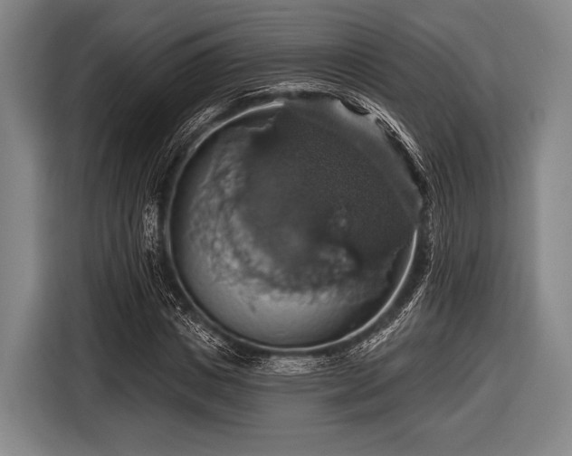 X0000116490825200912161317