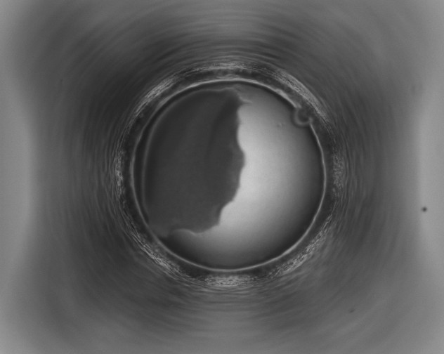 X0000116490826200912161317