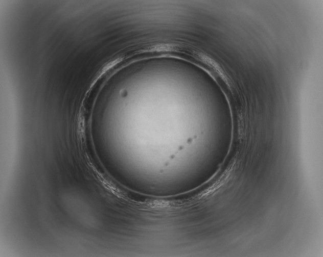 X0000116490827200912161317