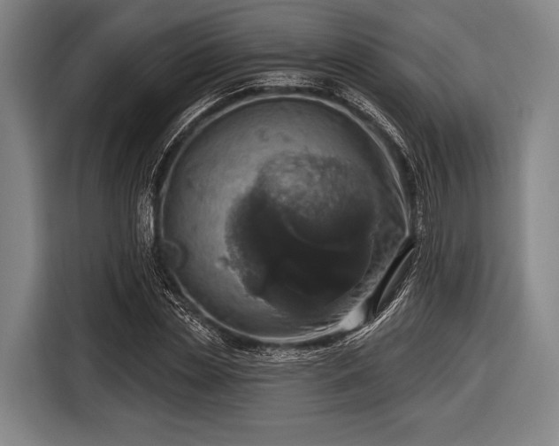 X0000116490829200912161317