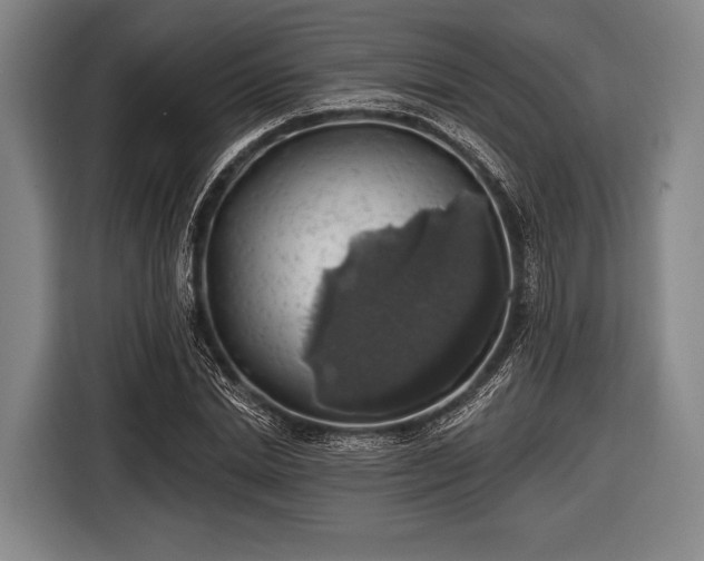 X0000116490830200912161317