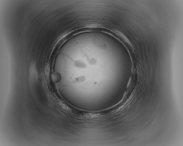 X0000116490831200912161317