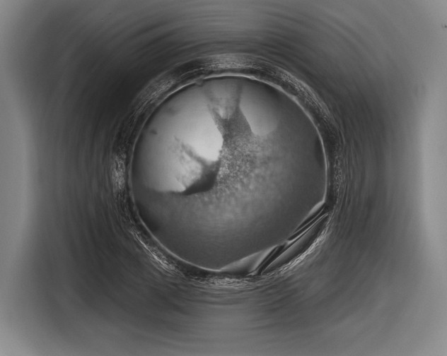 X0000116490833200912161317