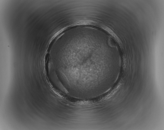 X0000116490834200912161317