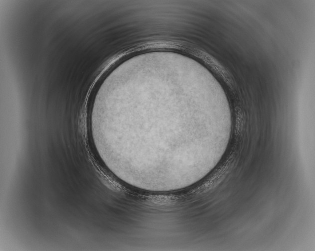 X0000116490836200912161317