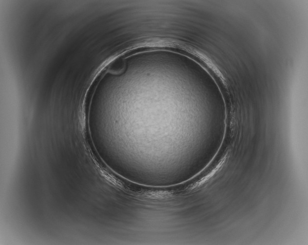 X0000116490837200912161317