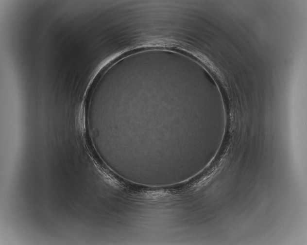 X0000116490838200912161317