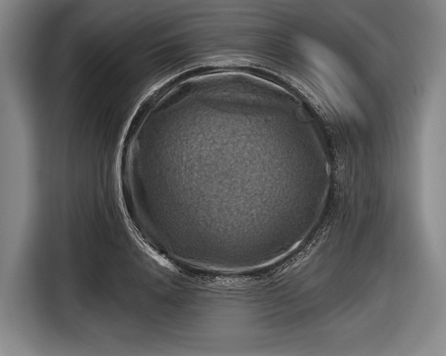 X0000116490840200912161317