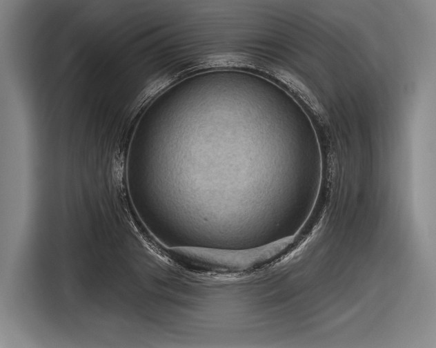 X0000116490841200912161317