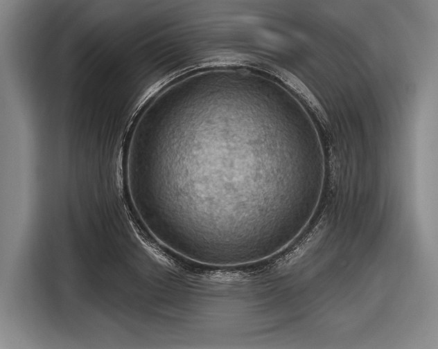 X0000116490842200912161317