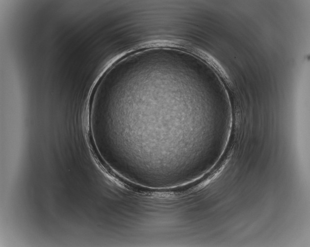 X0000116490844200912161317