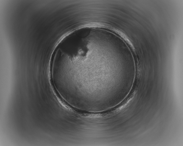 X0000116490845200912161317