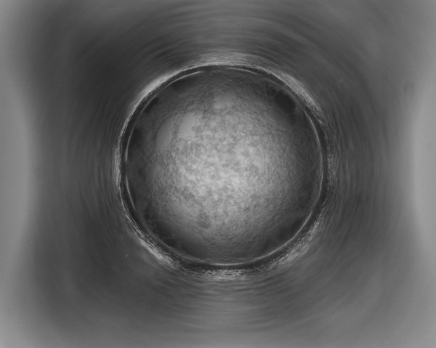 X0000116490846200912161317