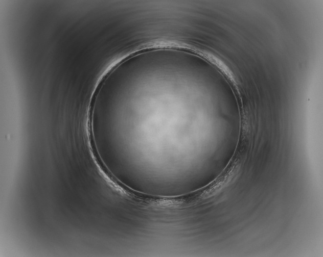 X0000116490847200912161317