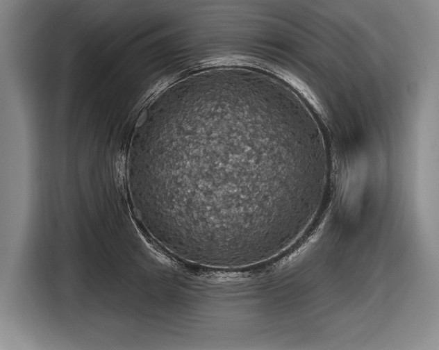 X0000116490849200912161317