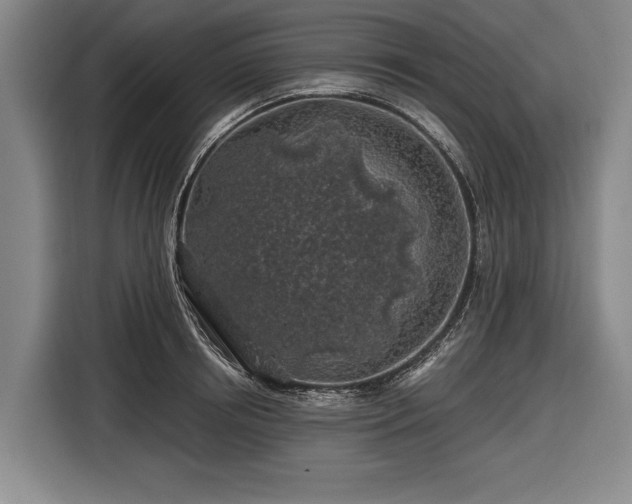 X0000116490850200912161317