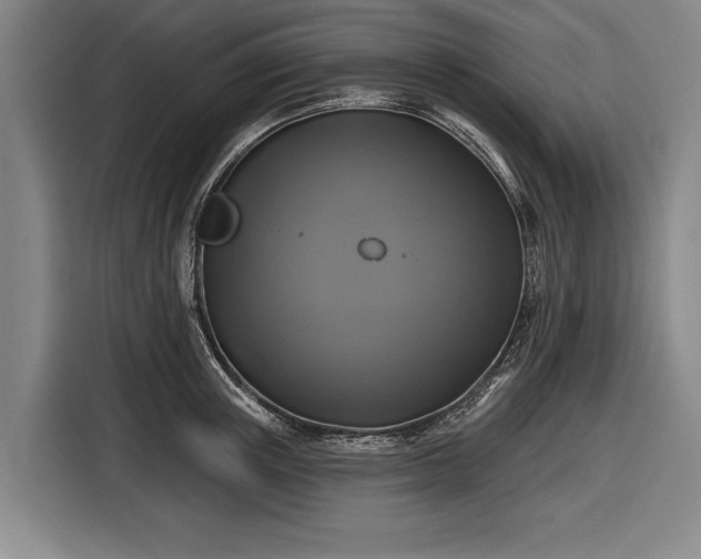 X0000116490851200912161317