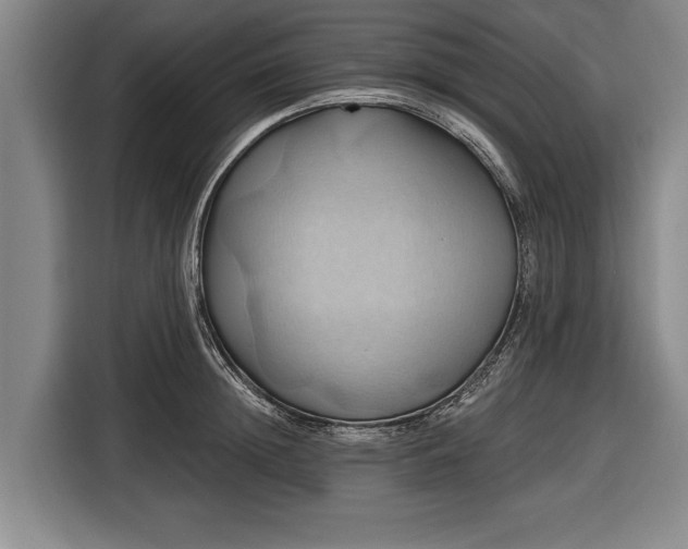 X0000116490852200912161317