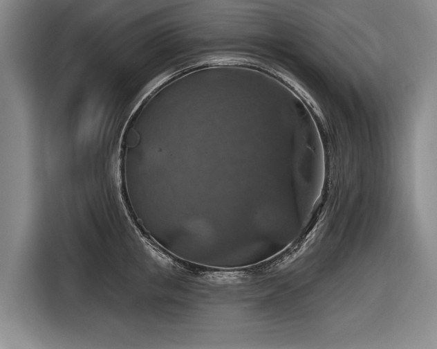 X0000116490853200912161317