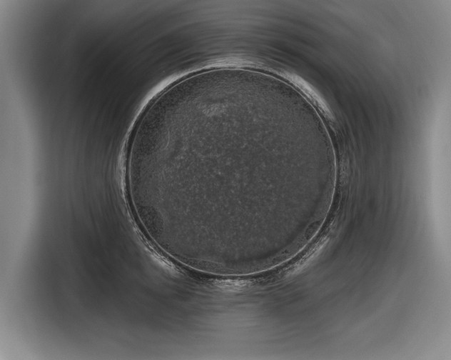 X0000116490854200912161317