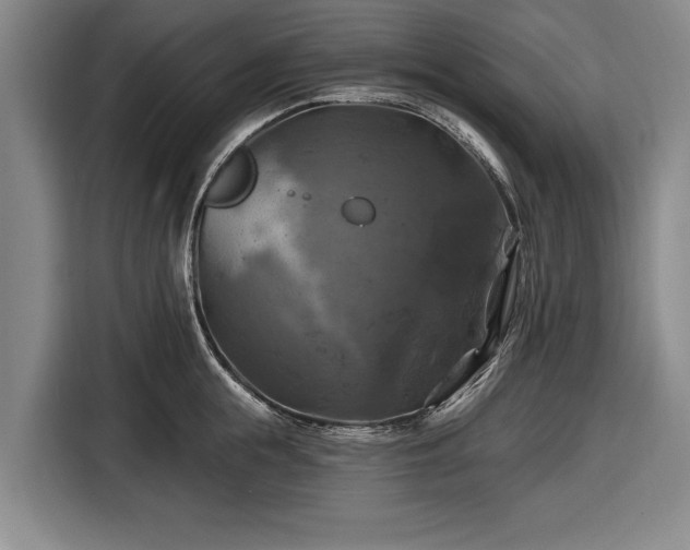 X0000116490855200912161317