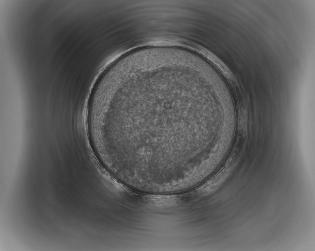 X0000116490856200912161317