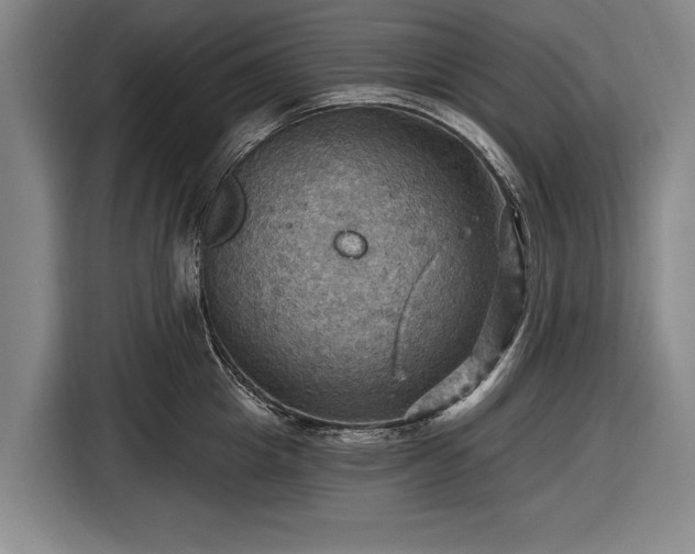 X0000116490857200912161317