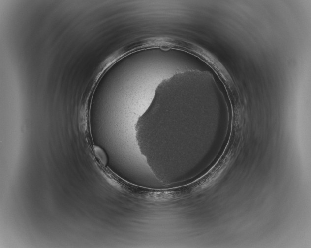 X0000116490858200912161317