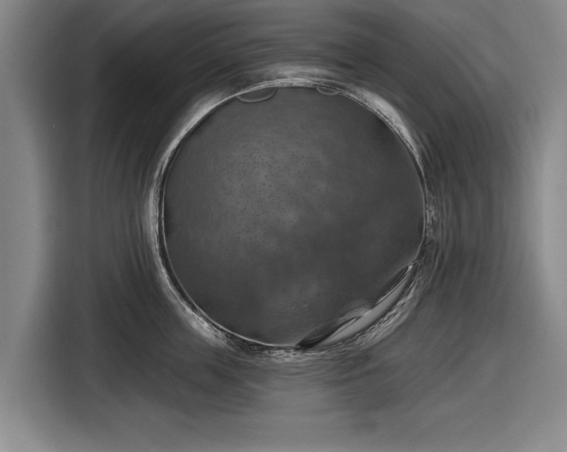 X0000116490859200912161317