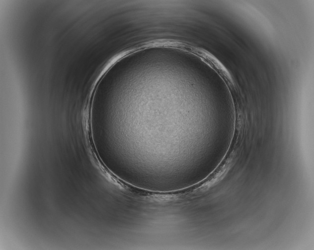 X0000116490860200912161317