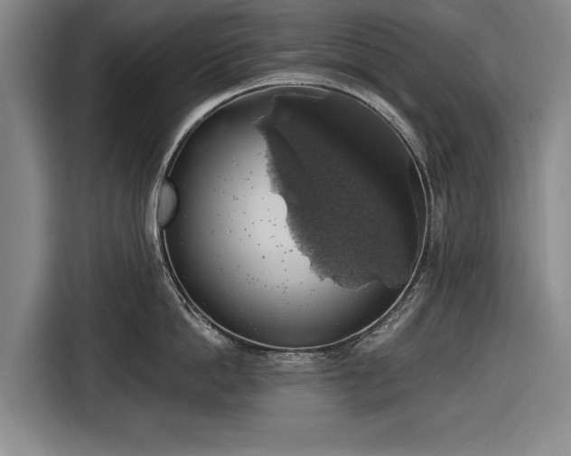 X0000116490862200912161317