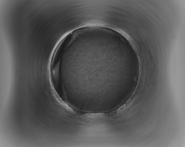 X0000116490864200912161317