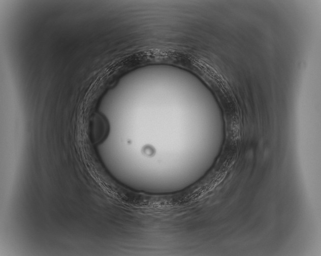 X0000116490865200912161317