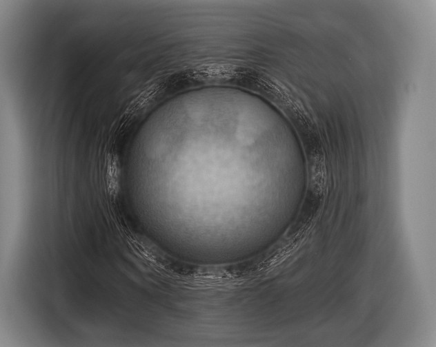 X0000116490866200912161317