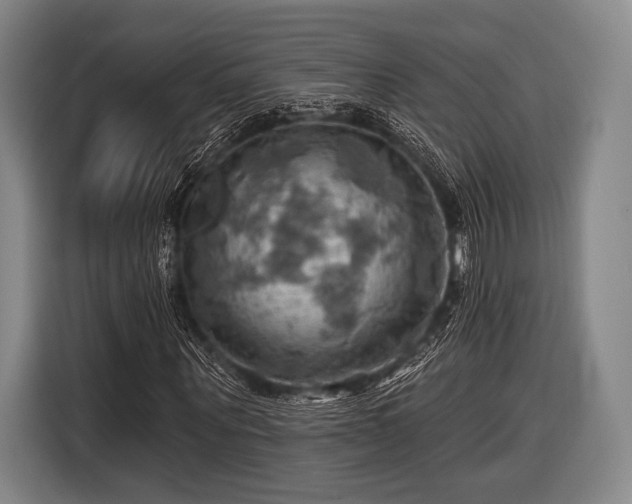 X0000116490867200912161317