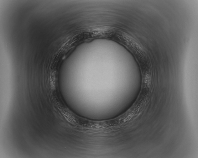 X0000116490868200912161316