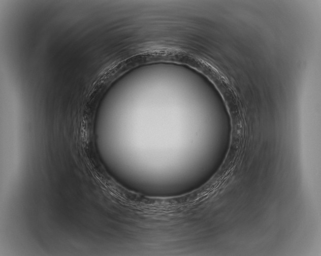 X0000116490869200912161316