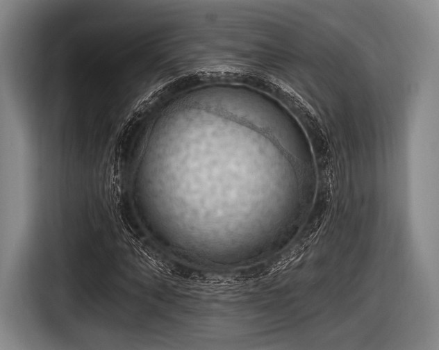 X0000116490870200912161316