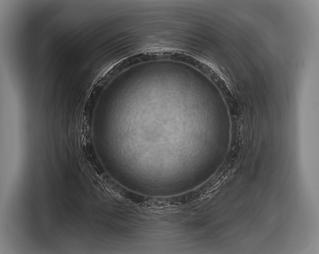 X0000116490871200912161316