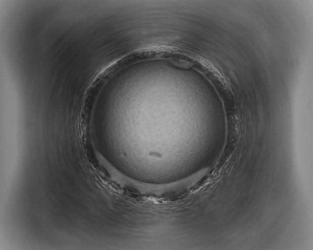 X0000116490872200912161316