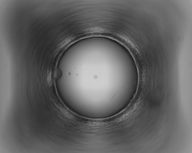 X0000116490873200912161316