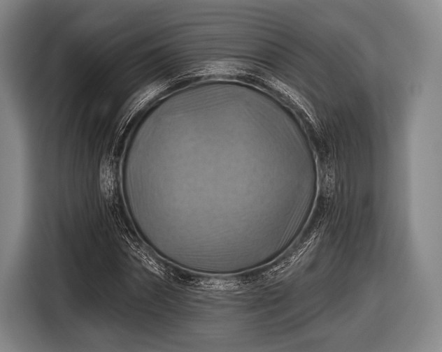 X0000116490874200912161316