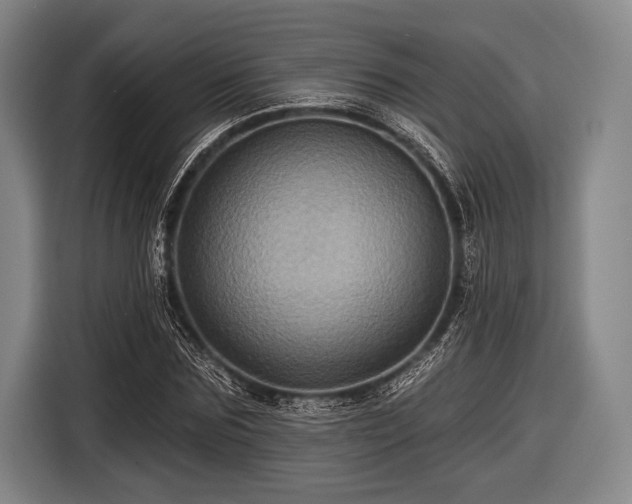 X0000116490875200912161316