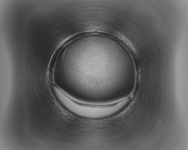 X0000116490876200912161316