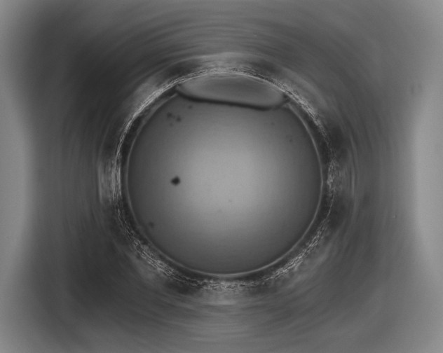 X0000116490877200912161316