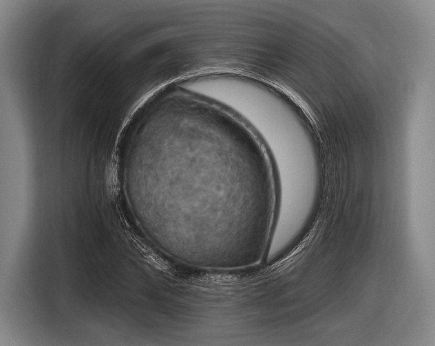 X0000116490878200912161316