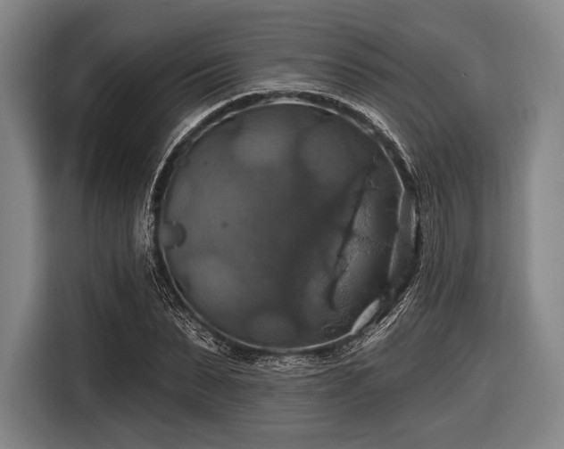 X0000116490879200912161316