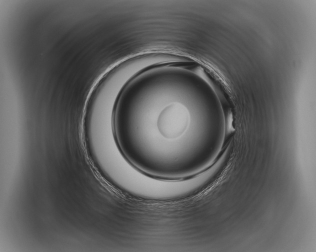 X0000116490880200912161316