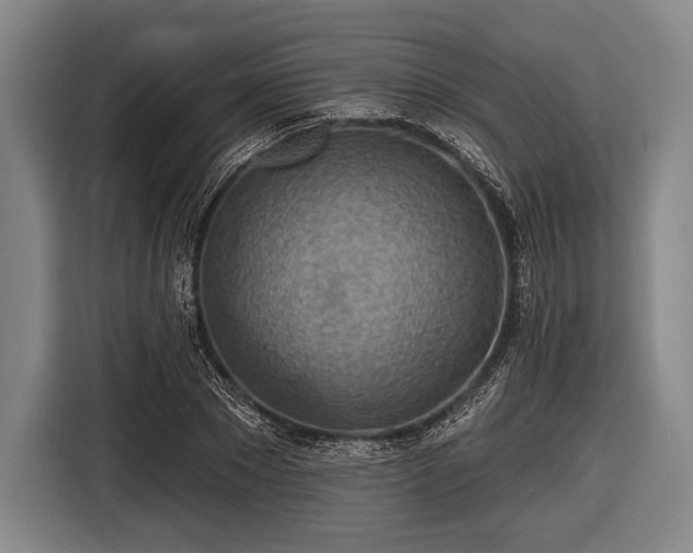 X0000116490881200912161316